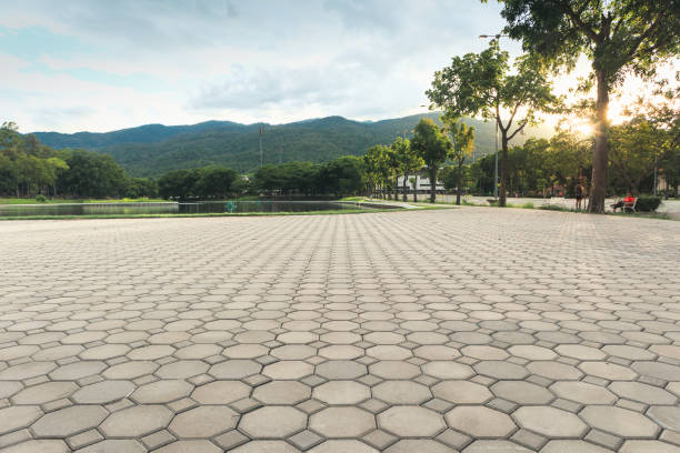 Best Driveway Paving Near Me  in Culpeper, VA