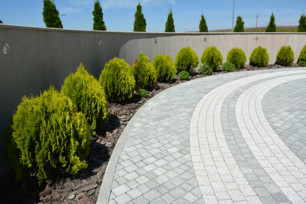 Best Residential Paver Driveway  in Culpeper, VA